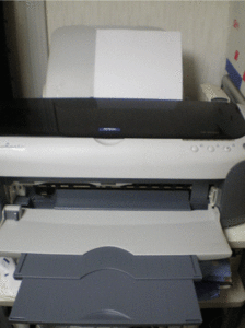 IMGP5649.gif