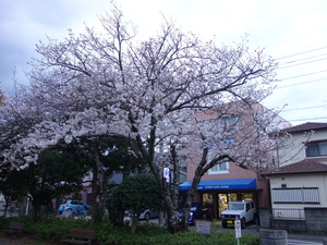 DSC05479.JPG